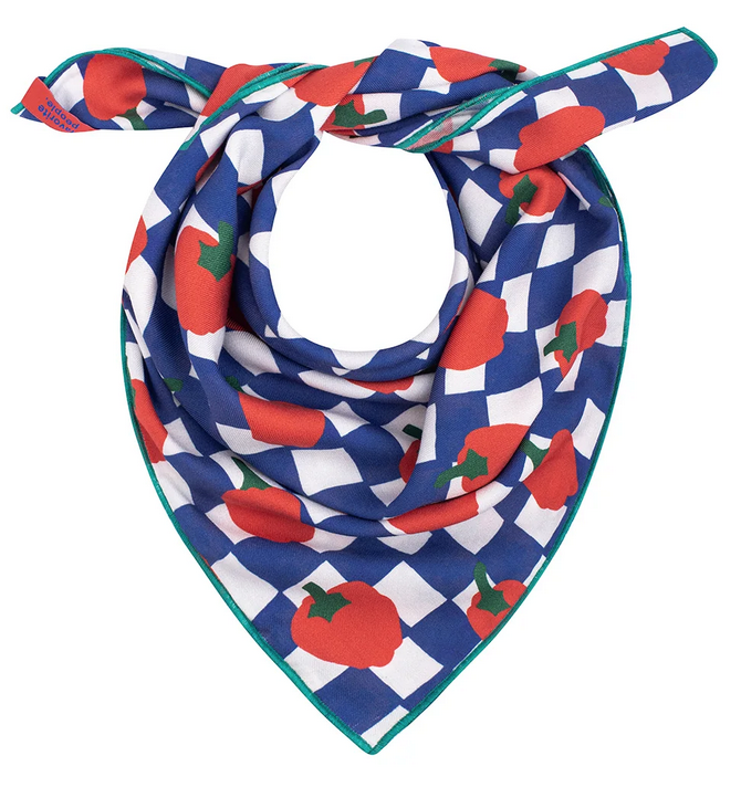 favorite people - la cantina scarf - Lubus & moi