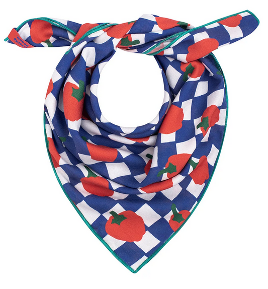 favorite people - la cantina scarf - Lubus & moi