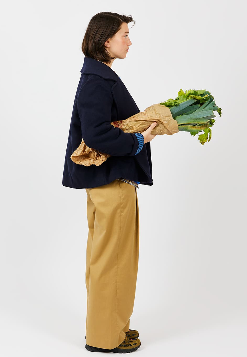 AP woman - pantalon à pinces femme, beige